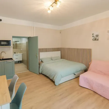 Equipe Climatise Rdc A 100m Des Cures Apartman *